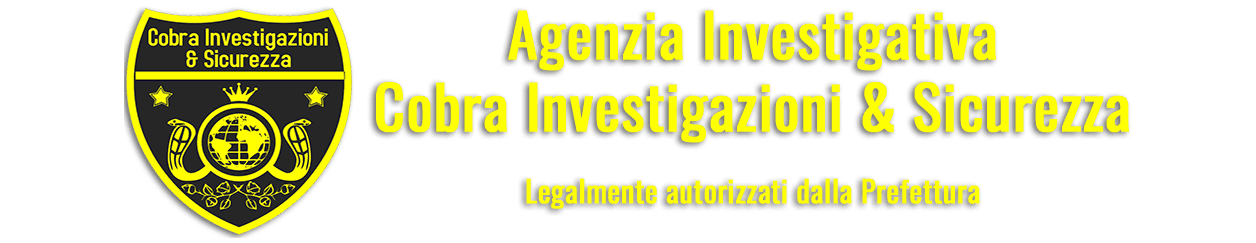 Investigazioni private