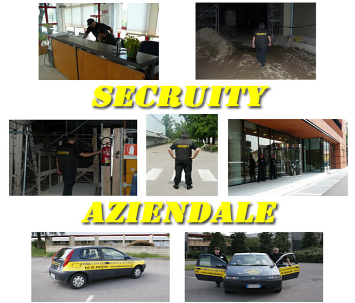 Sicurezza aziendale